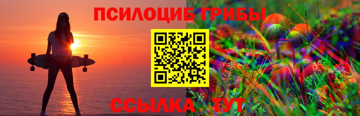 Галлюциногенные грибы мицелий Павлово